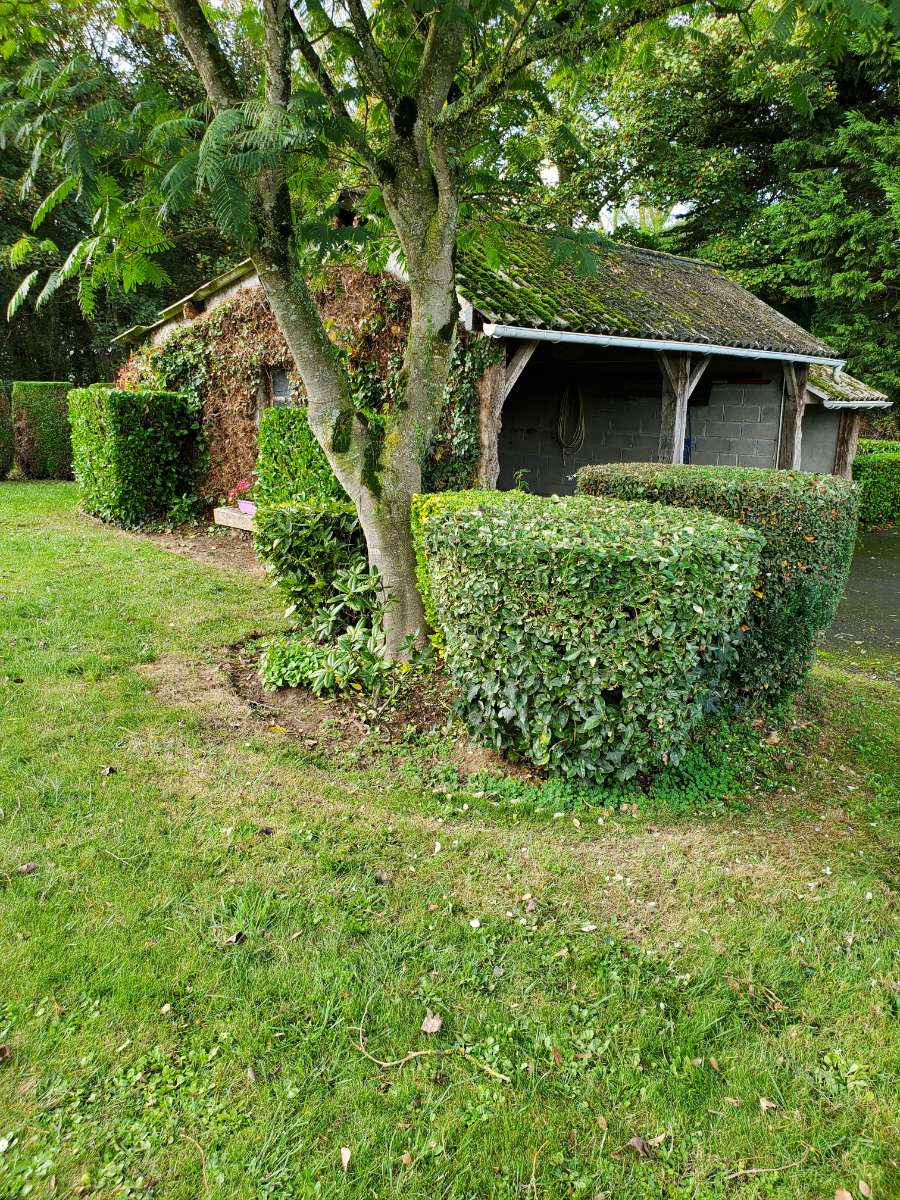 Création et aménagement de jardin à Saint-Alban